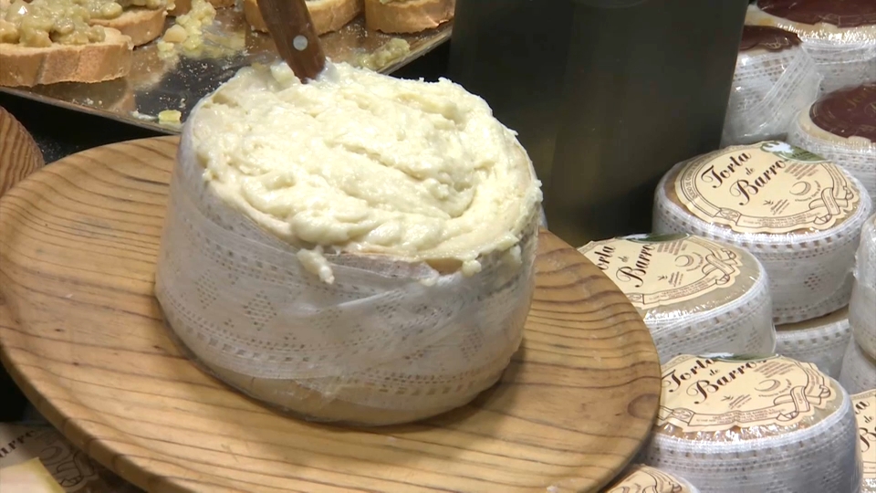 Queso de Acehúche