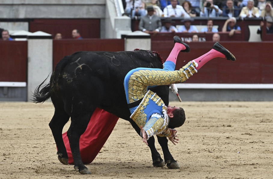 El diestro Ginés Marín sufre un revolcón con su primero de la tarde durante la corrida de la Feria de San Isidro del domingo 15 de mayo en la plaza de Las Ventas, en Madrid.