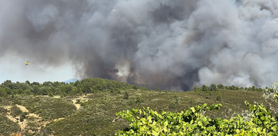 Incendio Villanueva de La Vera