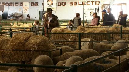 Feria Agroganadera de Trujillo