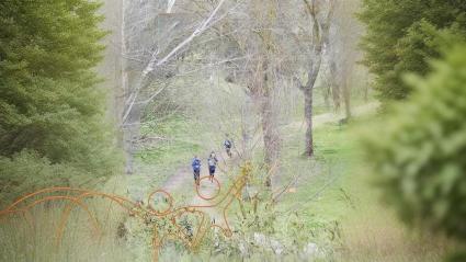 Jóvenes corriendo por el bosque