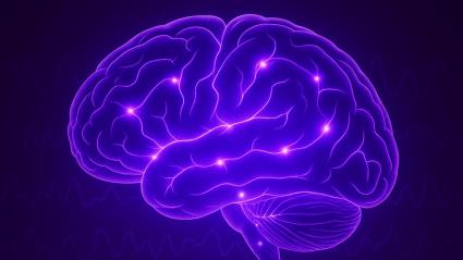 Día Nacional de la Epilepsia