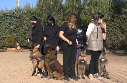 Supervivientes de violencia de género